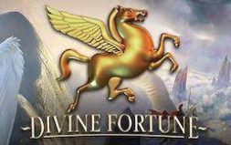 
			
			Games 
			 Divine fortune