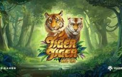
			
			Games 
			 Tiger Tiger