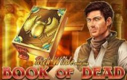 
			
			Games 
			 Book of dead