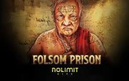 
			
			
			Игра Folsom prison