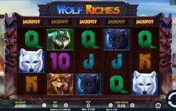 
			
			
			Игра Wolf Riches