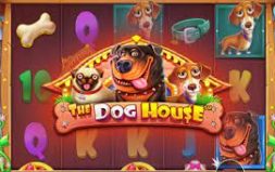 
			
			Games 
			 The Dog House