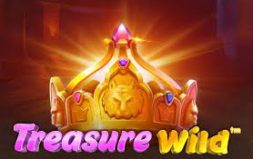 
			
			
			Игра Treasure Wild