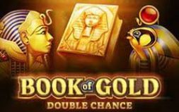 
			
			Games 
			 Book of gold