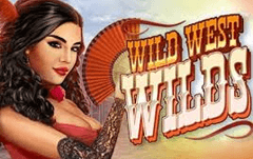 
			
			
			Игра Wild west wild