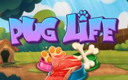 
			
			
			Игра Pug Life